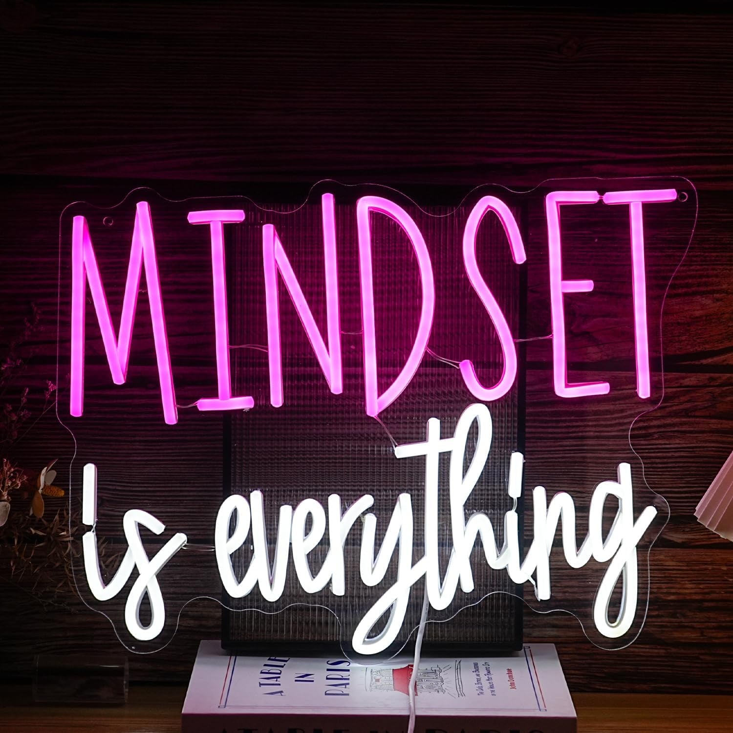 Mindset Is Everything Neon Sign Dimmable Inspirational LED Light up Sign for Wall Decor USB Powered Positive Quotes Motivational Neon Light for Office School Home Led Decor (Pink White)